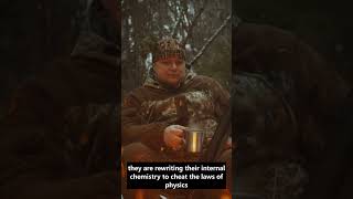 Frozen Blood? How Life Survives -100°C ❄️ #shorts #science #extremes