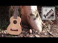Kヤイリ ミニ・ギター「SUNNY」 -サニー-