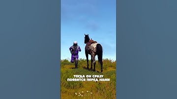 НОВАЯ ФУНКЦИЯ СПАВНА ТРАНСПОРТА в Rust/Раст! Как заспавнить транспорт за 1 клик? #rust #раст