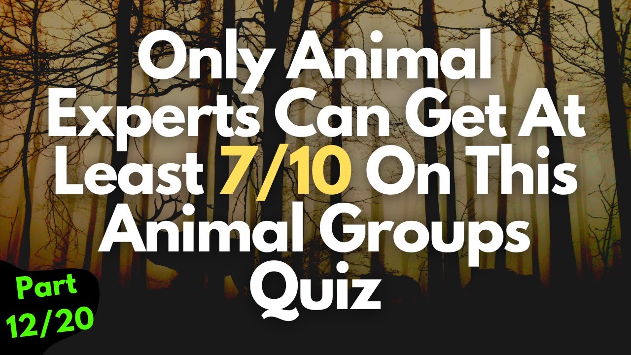 Animal Trivia Quiz Questions and Answers | Part 12 - YouTube