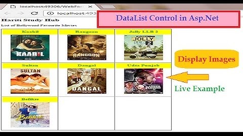 Display Images in DataList Control from Database in Asp.net C# | Hindi