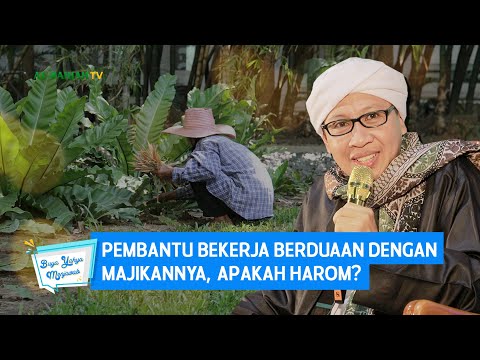 Video: Apakah pembantu?