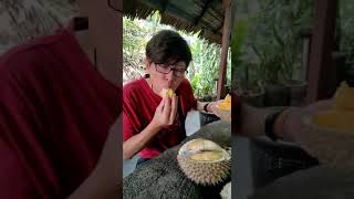 Is Penang Black Thorn durian good or the old time favourite Penang Red Prawn durians (old tree)