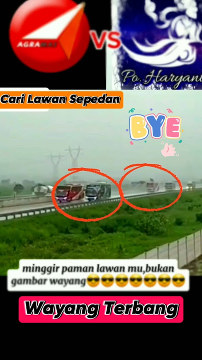 Bus Agra Mas VS PO Haryanto Balapan #driver #truck #bus #shorts #viral #fyp #short #heavydriver