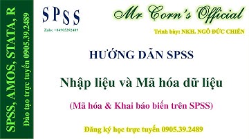 19.08.2022 Hướng dẫn SPSS | Nhập liệu và Mã hóa dữ liệu (Mã hóa & Khai báo biến trên SPSS)