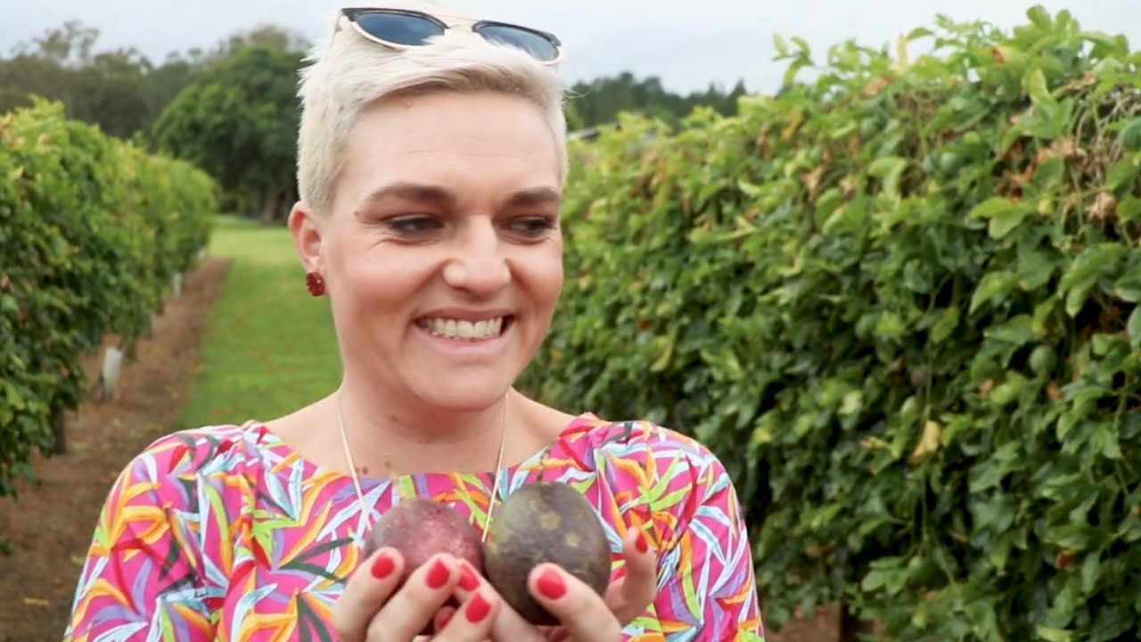 Passionfruit picking adventure trip in Queensland, Australia YouTube