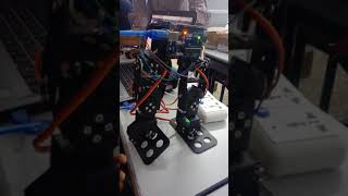Skyfi Labs Online Course - Biped Walking Robot - Ankit Baranwal, Piyush Rawat, Atharva Chowdhary