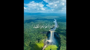 تلاوه ياسر الدوسري ايه الكرسي﴿الله لا اله الا هو الحي القيوم﴾ #اكسبلور #birds