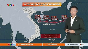 Dự báo thời tiết ngày mai 28/08/2025 | Áp thấp nhiệt đới gây thời tiết xấu | VTVWDB