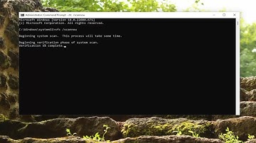 How to Reset Windows Update in Windows 11 [Tutorial]