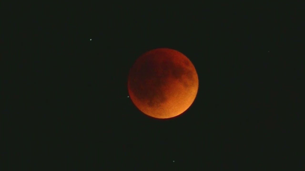 Super Flower Blood Moon Floats Over New York Night Sky
