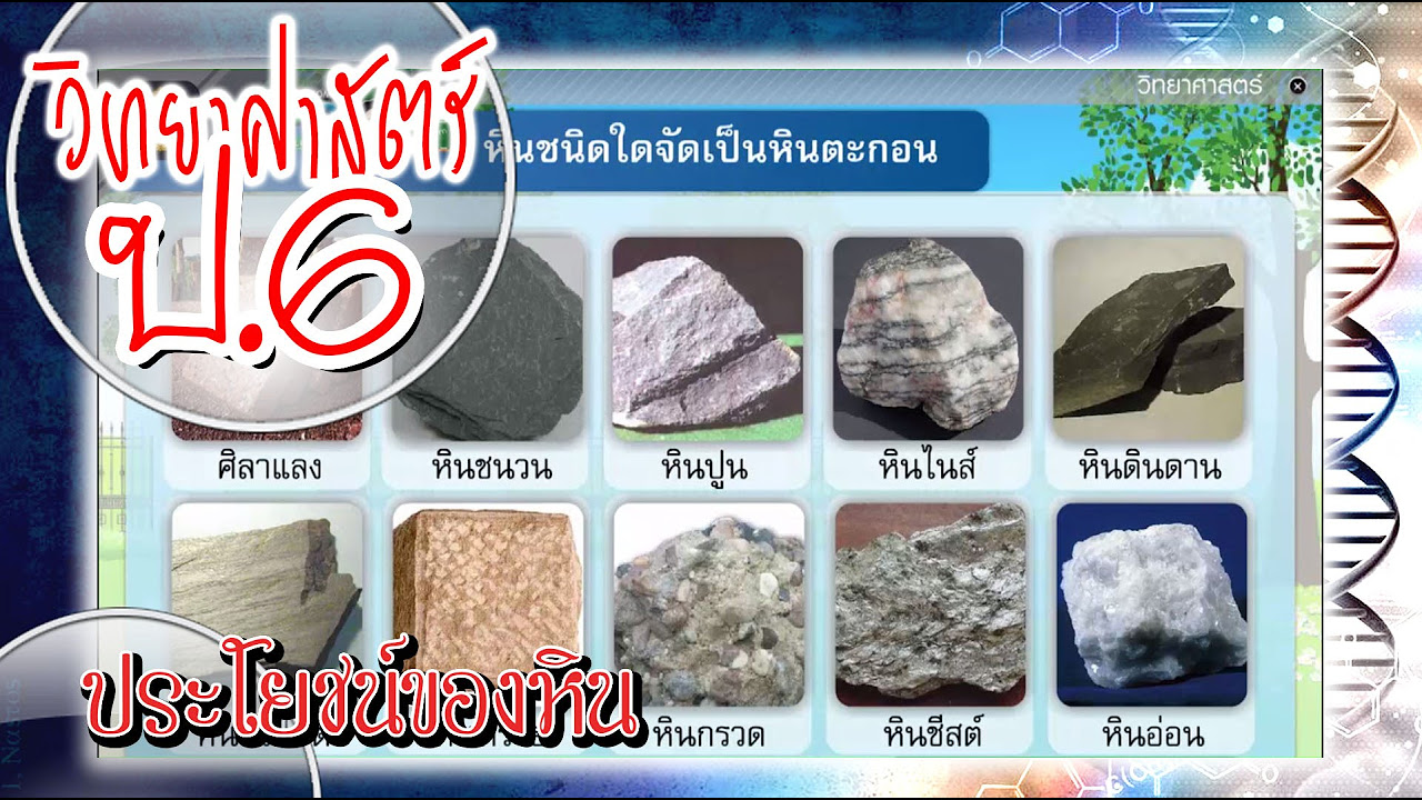 ส่วนประกอบของผลิตภัณฑ์  2022  ประโยชน์ของหิน - วิทยาศาสตร์ ป.6