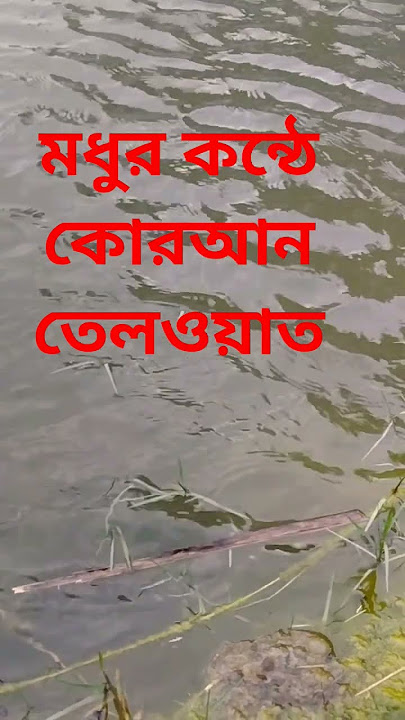 সুরা আল ফাতিহা তেলওয়াত # সুরা ফাতেহা তেলওয়াত # কোরআন তেলোয়াত # surah al fatiha Tilwat # sura fateha