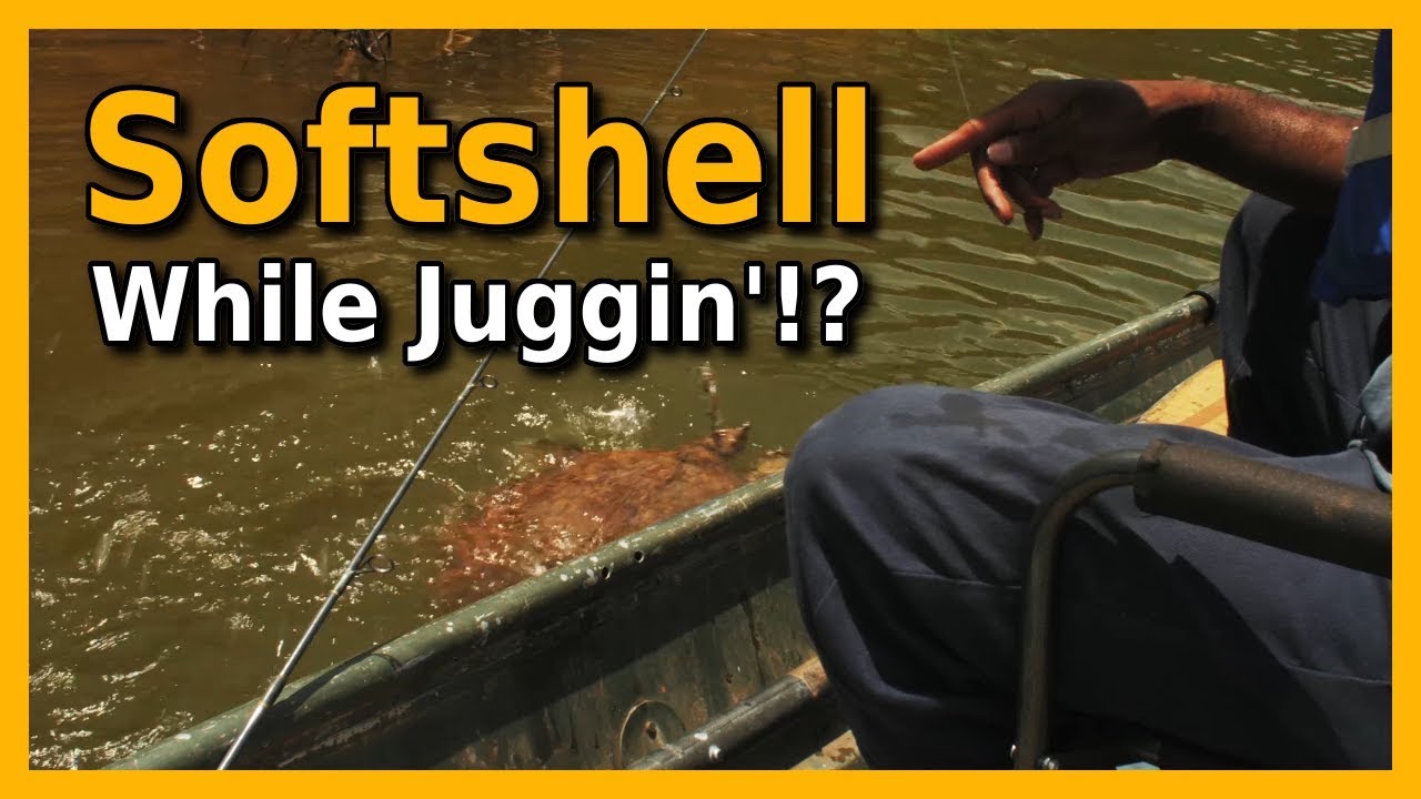 A Jug Fishing Adventure | Juggin'! S2-E4 | Tabins or Turtles? blue catfish habitat