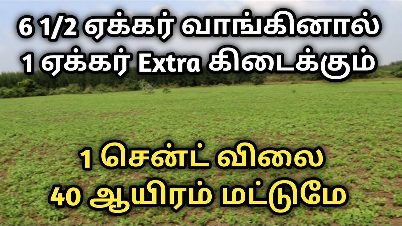 Beautiful farming land sale near Tindivanam