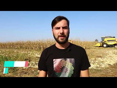 Cartlis, პიონერი PR32B10