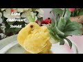 Pineapple peacock  fruit and vegetable carving tutorial