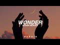 Shawn Mendes - Wonder (Traducida al español)