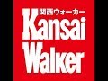 配信URLが変更しました。下記ご参照ください。光の祭典「神戸ルミナリエ2019」点灯式＆会場レポート（2019年12/6金）