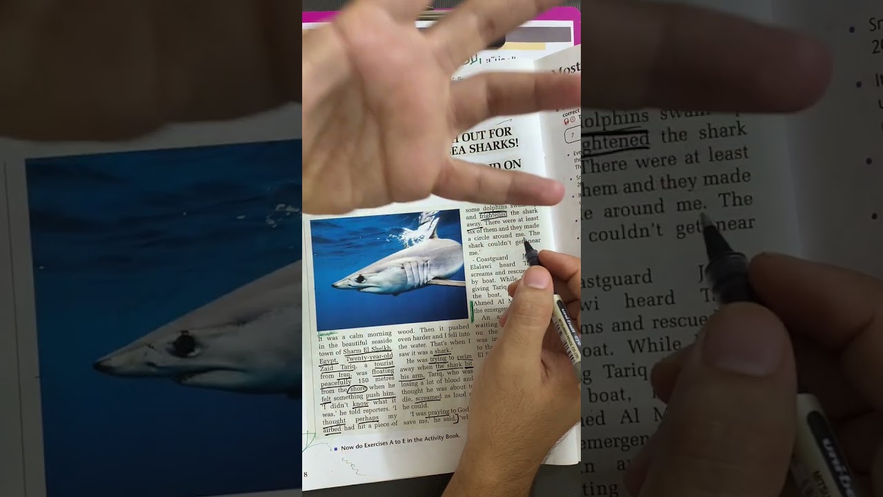 انجليزي السادس اعدادي | اليونت الاول | الدرس الثالث| قطعة زيد طارق