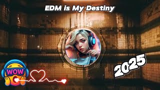 Download Lagu Maak je klaar voor de meest epische dj-mixen die je ziel zullen raken MP3 Download Lagu Maak je klaar voor de meest epische dj-mixen die je ziel zullen raken MP3