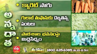 Video Download
