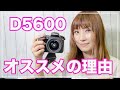 Nikon D5600は初心者向けカメラなのか？！【一眼レフカメラ】