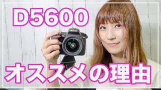 Nikon D5600は初心者向けカメラなのか?!【一眼レフカメラ】