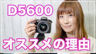 Nikon D5600は初心者向けカメラなのか？！【一眼レフカメラ】