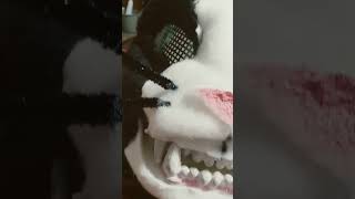 Whiskers And His Problems