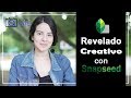 Snapseed - Revelado Creativo