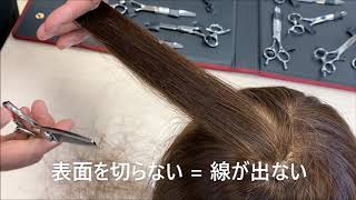 【プリマードシザー】とは