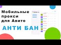 Мобильные прокси для Авито, обновление