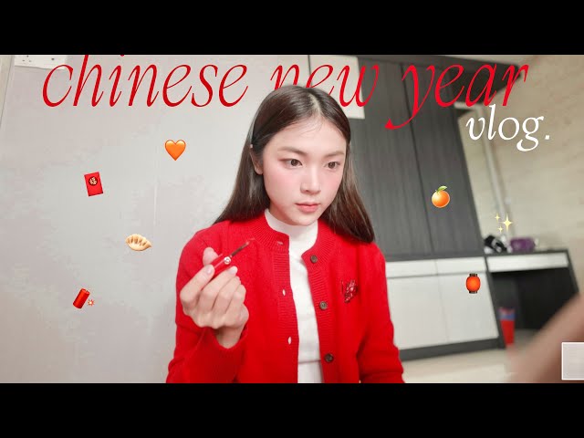 回家过年 vlog 🧧🥟🍊✨🧨 class=