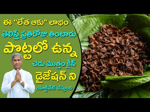 How to Get Rid Of Indigestion | Gas Tips | Benefits Of Betel Leaf | Dr Manthena Satyanarayana Raju