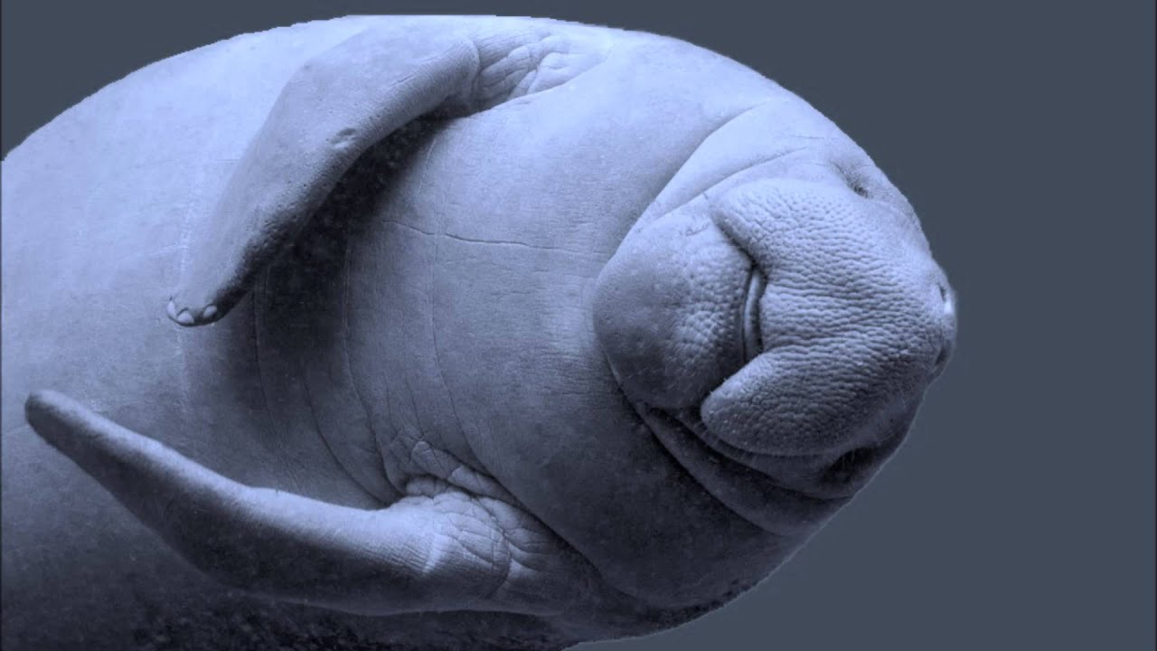 Individual Situation by Brett Keane individual