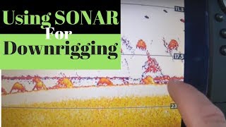 Using Sonar To Be More Successful Downrigging: (Part 4)