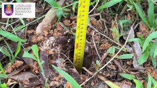 Soil Sampling & Sample Preparation _ Raja Muhammad Faiz bin Raja Bazaid