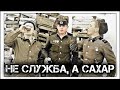 ✔️Писарь🧾и другие самые «теплые места»🛌в ☭Советской☭ армии🔫