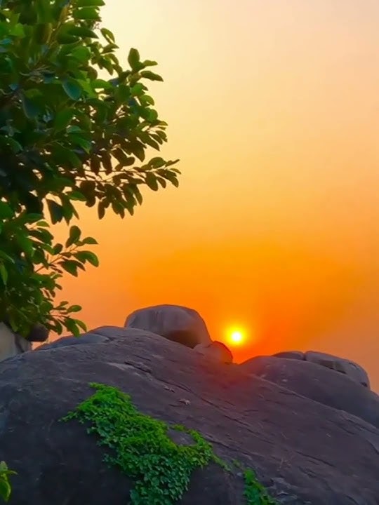 WhatsApp status WhatsApp story 🥰🥀🥀🥀🥀🥀🥀🥀🥀#whatsapp