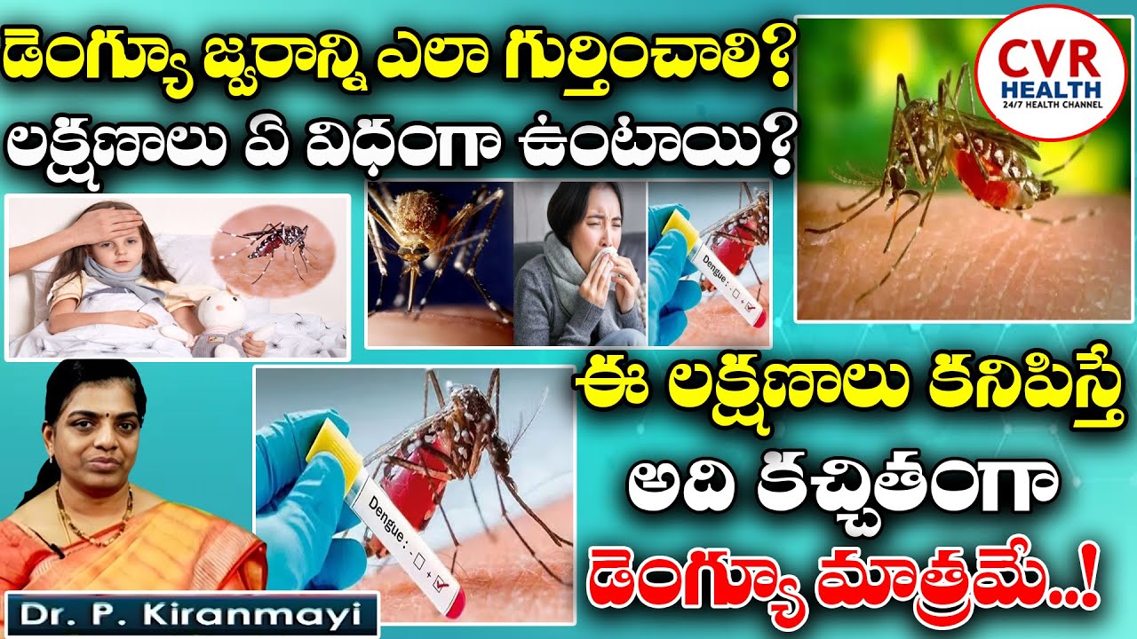 How to recognize dengue fever? What are the symptoms?|Dr.P.Kiranmayi ...