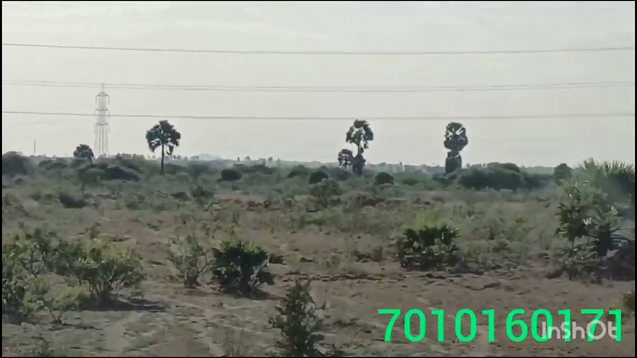 Tirunelveli LAND தோட்டம் விற்பனை 
