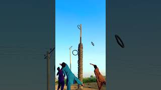 Cool Gadgetssmart Appliances,New Gadgets, Kitchen Gadgets, Home Gadgets,Inventions