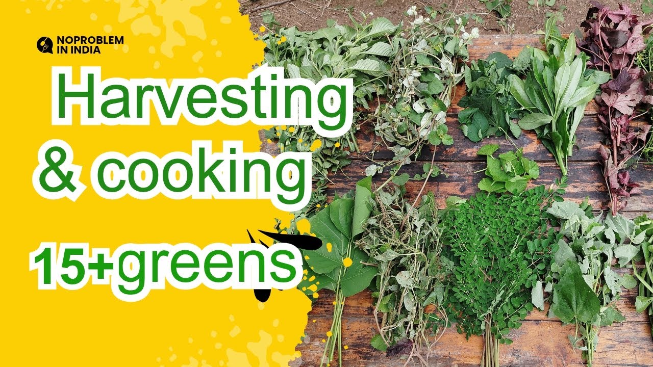 Preparing 15+ different greens from our farm | from farm to plate