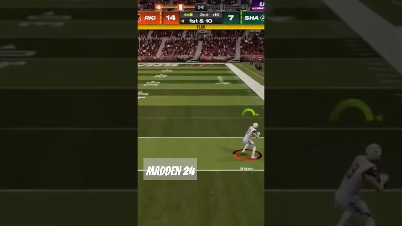 madden crazy plays 