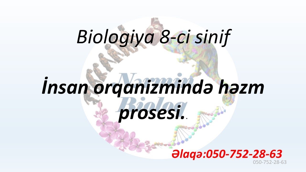 İnsan orqanizmində həzm prosesi.Biologiya 8-ci sinif yeni dərslik 4-cü fəsil mövzu 1