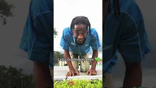 Download Lagu Je leeft maar één keer. MP3