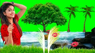 Green Screen Background Effects || Wedding Green Screen Effects Video