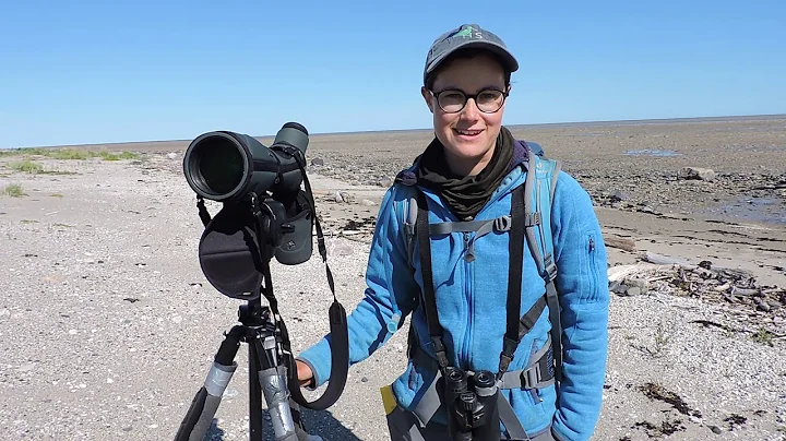 Endangered Birds on the James Bay Coast; W. Garfie...