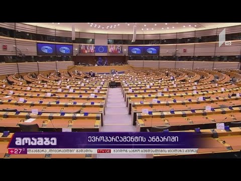 ევროპარლამენტის ანგარიში - გამოხმაურებები